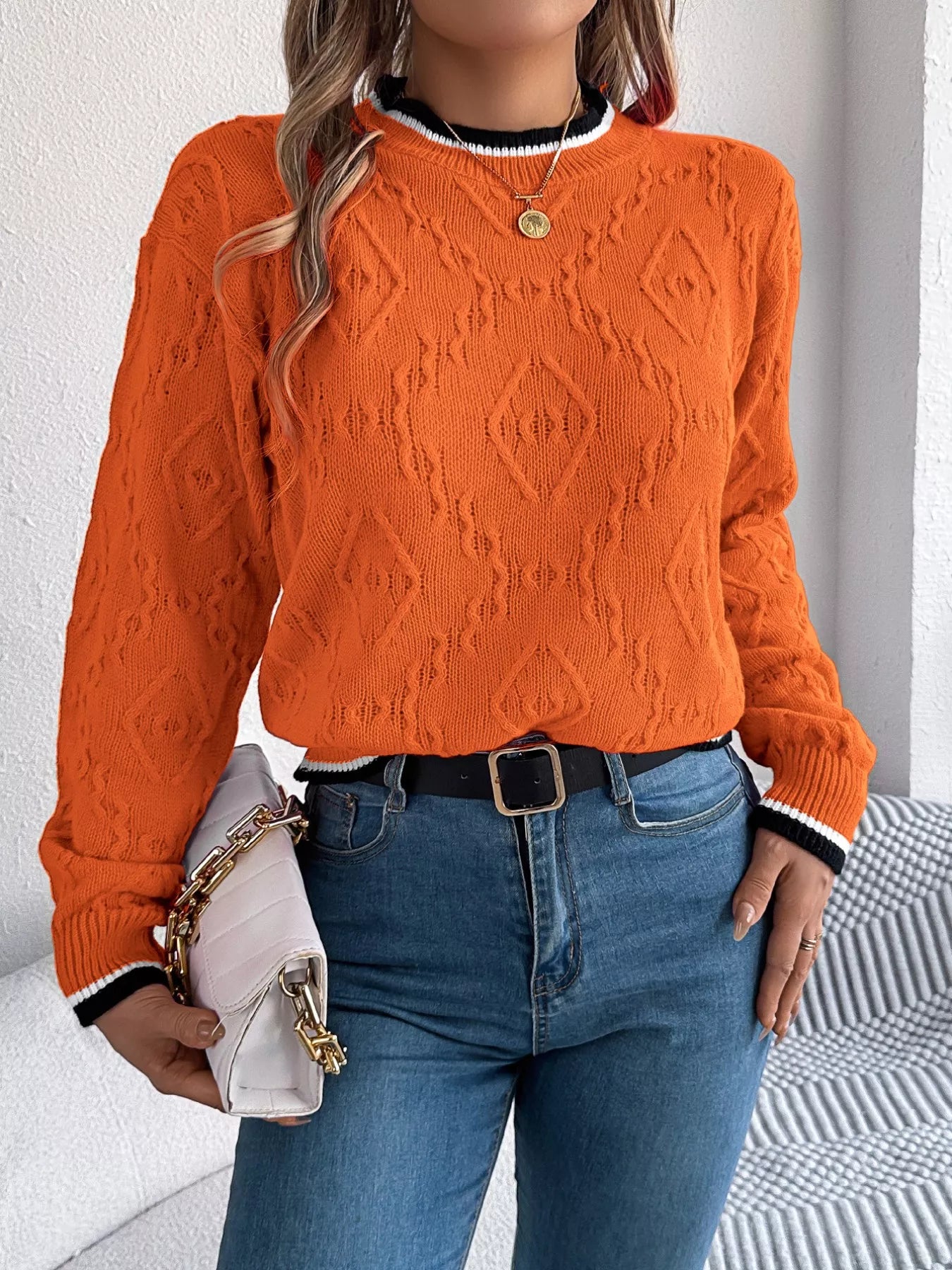 Contrast Trim Round Neck Sweater