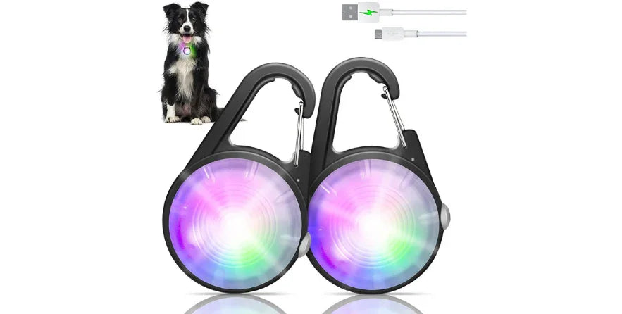 LED dog collar lights with colorful glow, USB rechargeable, shown on a black and white dog