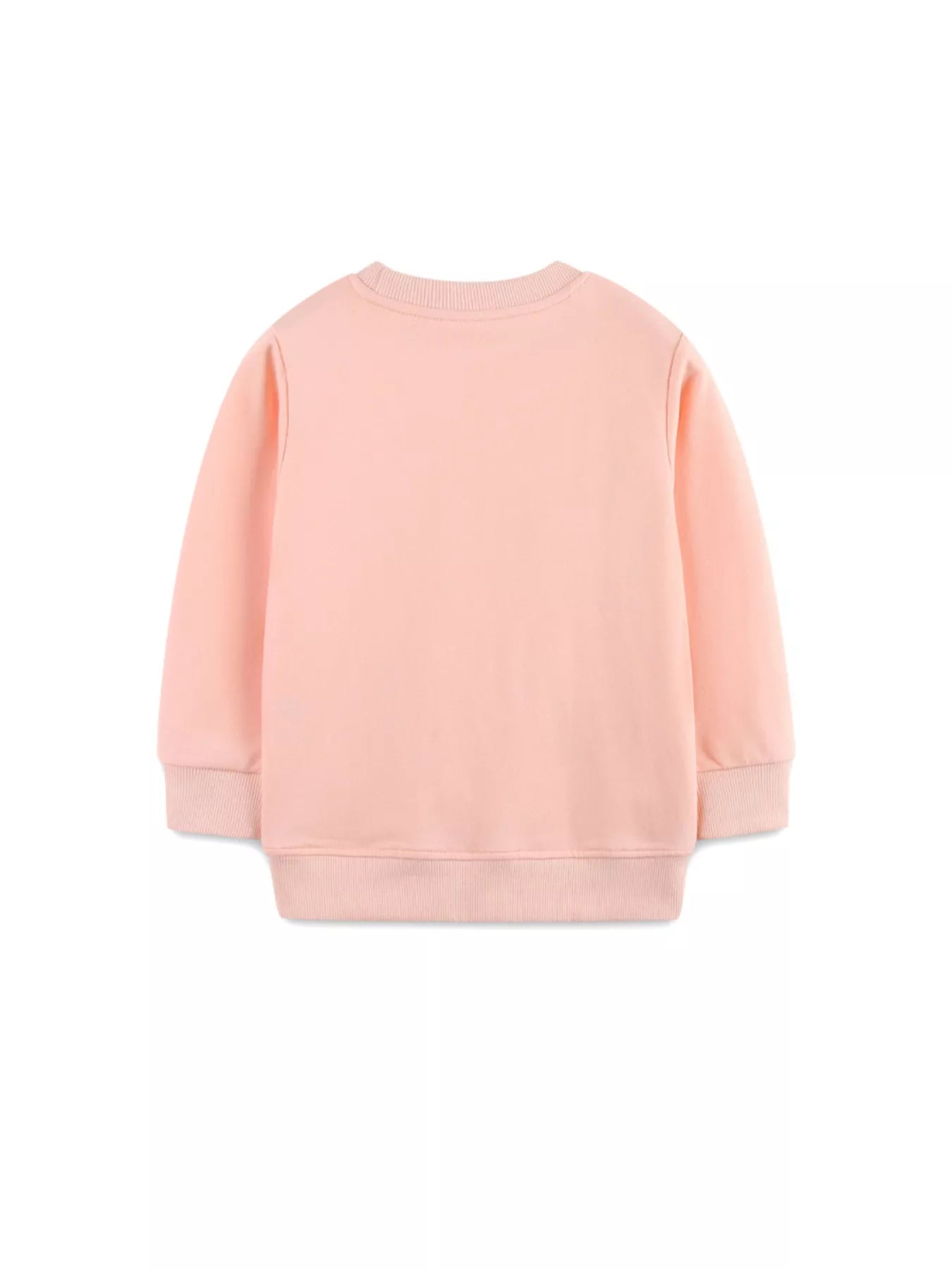 Children's Cute Bunny Embroidered Round Neck Sweatshirt