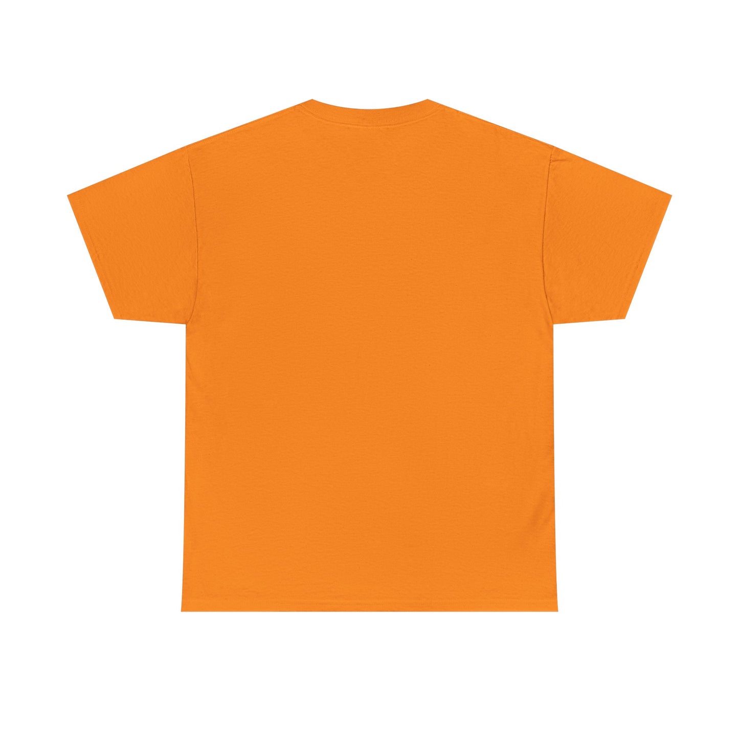 LadyRos Unisex Heavy Cotton Tee