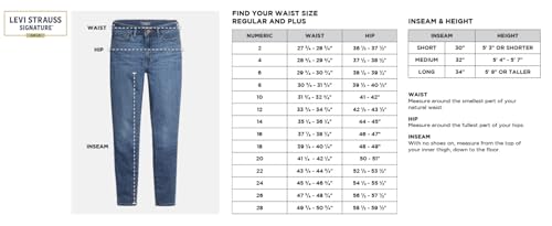Levi Strauss Signature Gold Women's Heritage Original Wide Leg Jeans Mid-Rise Stretch Denim, Blue Oddity, 12