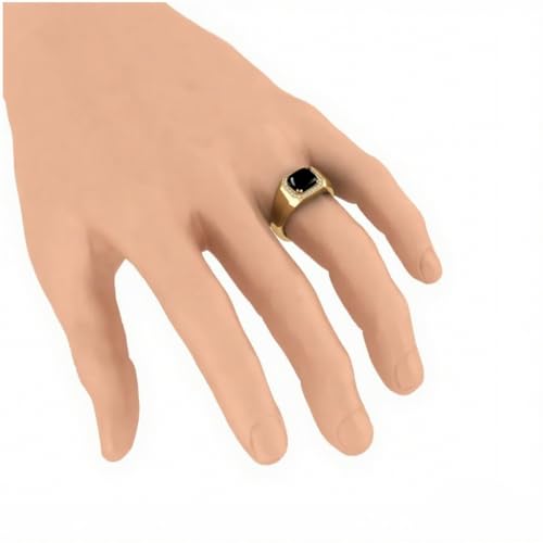 10K 14K 18K Solid Gold Black Onyx Ring for Men Black Onyx Stone Signet Ring Gemstone Rings Anniversary Jewelry for Him