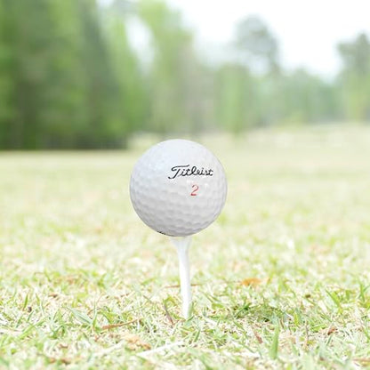 GolfBall Nut - 48 Used Golf Balls – Recycled Premium Brands Assorted Mix for Practice & Play – Excellent Condition - Includes Mesh Bag – Budget-Friendly & Sustainable Golf Balls