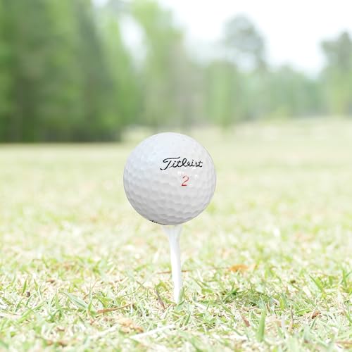 GolfBall Nut - 48 Used Golf Balls – Recycled Premium Brands Assorted Mix for Practice & Play – Excellent Condition - Includes Mesh Bag – Budget-Friendly & Sustainable Golf Balls