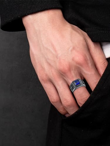 Dorunmo Personalied Mens Black Class Rings 925 Sterling Sliver 2025 Graduation/College/High School Rings for Men,Size 5-16,One Stone,Two Pattern