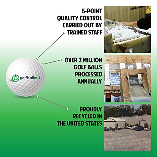 GolfBall Nut - 48 Used Golf Balls – Recycled Premium Brands Assorted Mix for Practice & Play – Excellent Condition - Includes Mesh Bag – Budget-Friendly & Sustainable Golf Balls