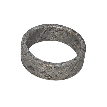 METEOSTAR Handcrafted Meteorite Ring, 7.3mm Width, Natural Altai Pattern, Grey (Size: 9.5)