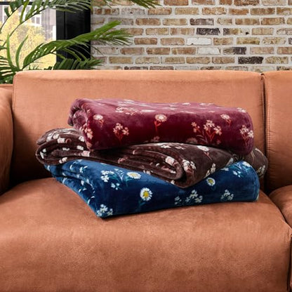 Lucky Brand Daisy Navy Blue Floral 50"X70" Cozy Plush Blanket - Premium Microfiber Throw for Luxurious Comfort and Style