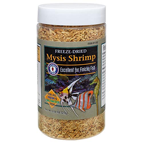 San Francisco Bay Brand Freeze-Dried Mysis Shrimp - Premium Fish Food, Tropical Fish Food, Shrimp Food - Ideal for Freshwater and Saltwater Fish, Cichlids, Angels, Seahorses - 0.88 oz (25g)