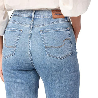 Levi Strauss Signature Gold Women's High-Rise Straight Jeans Stretch Denim (Standard and Plus), (New) Terra Nova, 12 Short