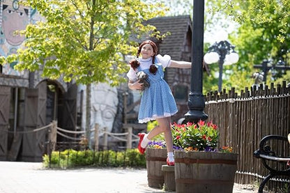 Girls Dorothy Costume Wizard of Oz - Blue Gingham Dress with Hair Bows