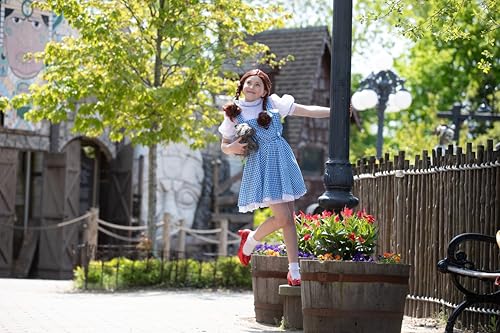 Girls Dorothy Costume Wizard of Oz - Blue Gingham Dress with Hair Bows