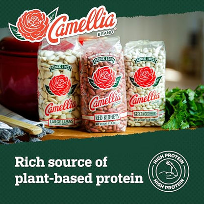 Camellia Brand Dried Red Kidney Beans – Premium Non-GMO Dry Beans, High Protein Plant-Based Food for Red Beans and Rice, Chili, Soups, Meal Prep, and Cajun Cooking 1 Pound (Pack of 6)