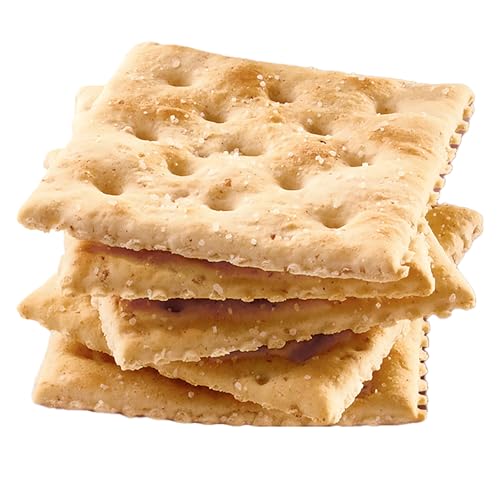 Premium Saltine Crackers, with Whole Grain Wheat, Lunch Snacks, 1.06 lb
