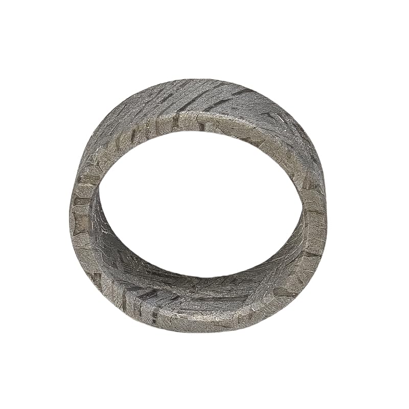 METEOSTAR Handcrafted Meteorite Ring, 7.3mm Width, Natural Altai Pattern, Grey (Size: 9.5)