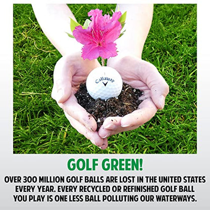 GolfBall Nut - 48 Used Golf Balls – Recycled Premium Brands Assorted Mix for Practice & Play – Excellent Condition - Includes Mesh Bag – Budget-Friendly & Sustainable Golf Balls
