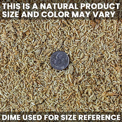 San Francisco Bay Brand Freeze-Dried Mysis Shrimp - Premium Fish Food, Tropical Fish Food, Shrimp Food - Ideal for Freshwater and Saltwater Fish, Cichlids, Angels, Seahorses - 0.88 oz (25g)