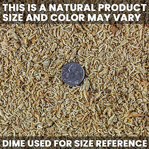 San Francisco Bay Brand Freeze-Dried Mysis Shrimp - Premium Fish Food, Tropical Fish Food, Shrimp Food - Ideal for Freshwater and Saltwater Fish, Cichlids, Angels, Seahorses - 0.88 oz (25g)