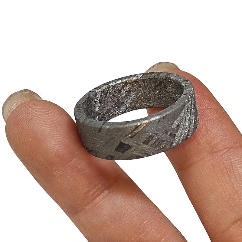 METEOSTAR Handcrafted Meteorite Ring, 7.3mm Width, Natural Altai Pattern, Grey (Size: 9.5)