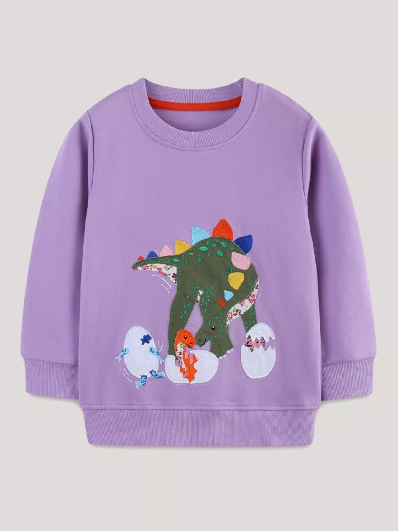 Children's Dinosaur Graphic Round Neck Sweatshirt