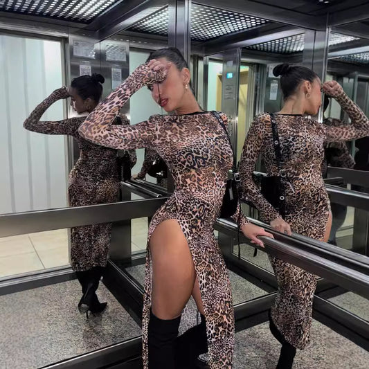 Women Clothing Round Neck Long Sleeve Mesh Floral Print Slit Dress Women Beach Vacation