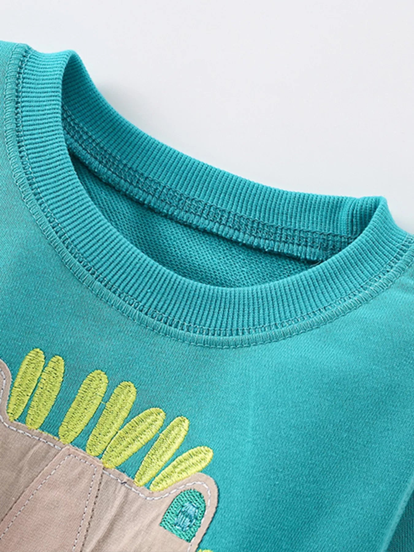 Children's Cute Lion Crewneck Sweatshirt