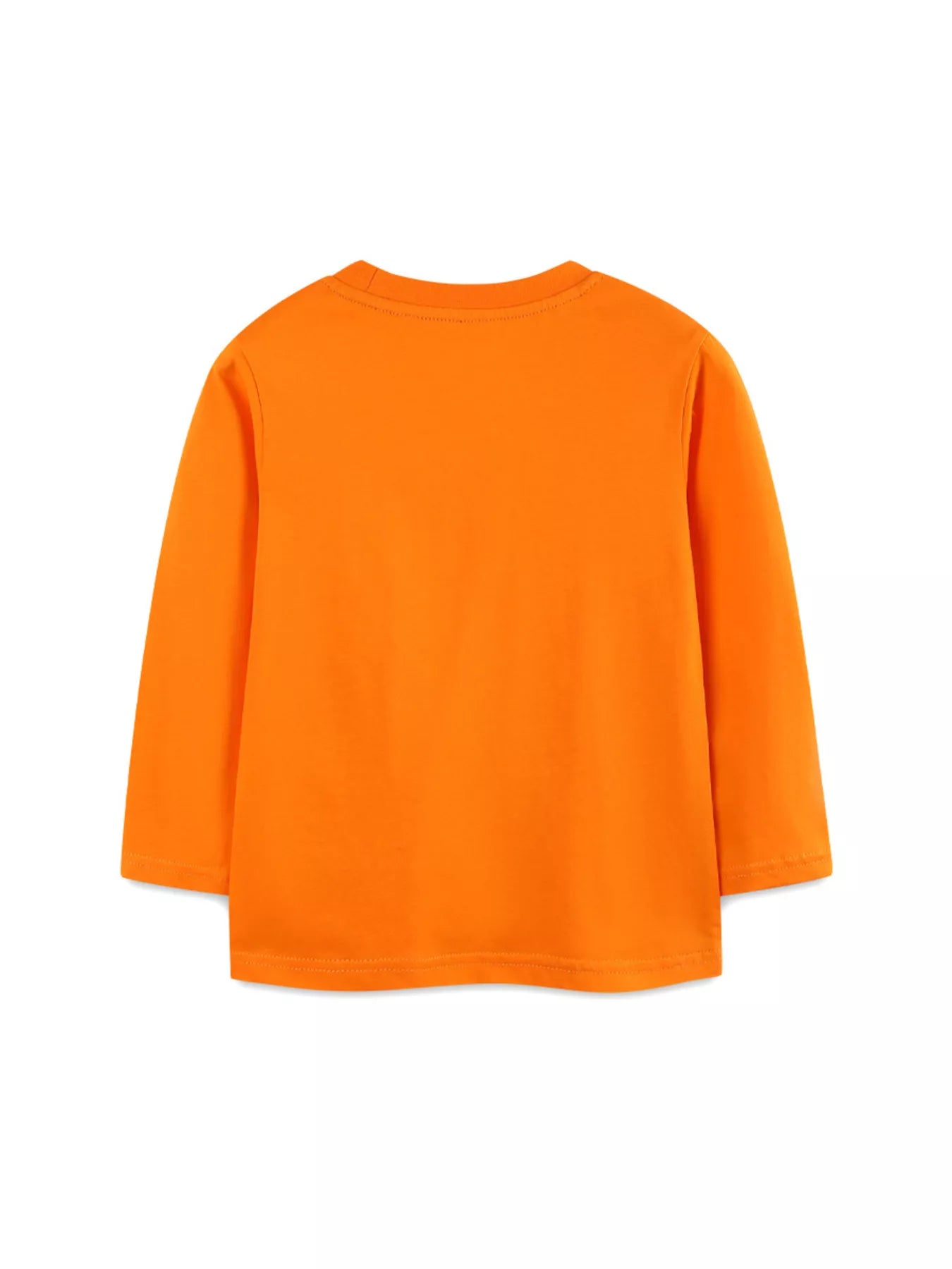 Children's Dinosaur Print Long Sleeve T-Shirt