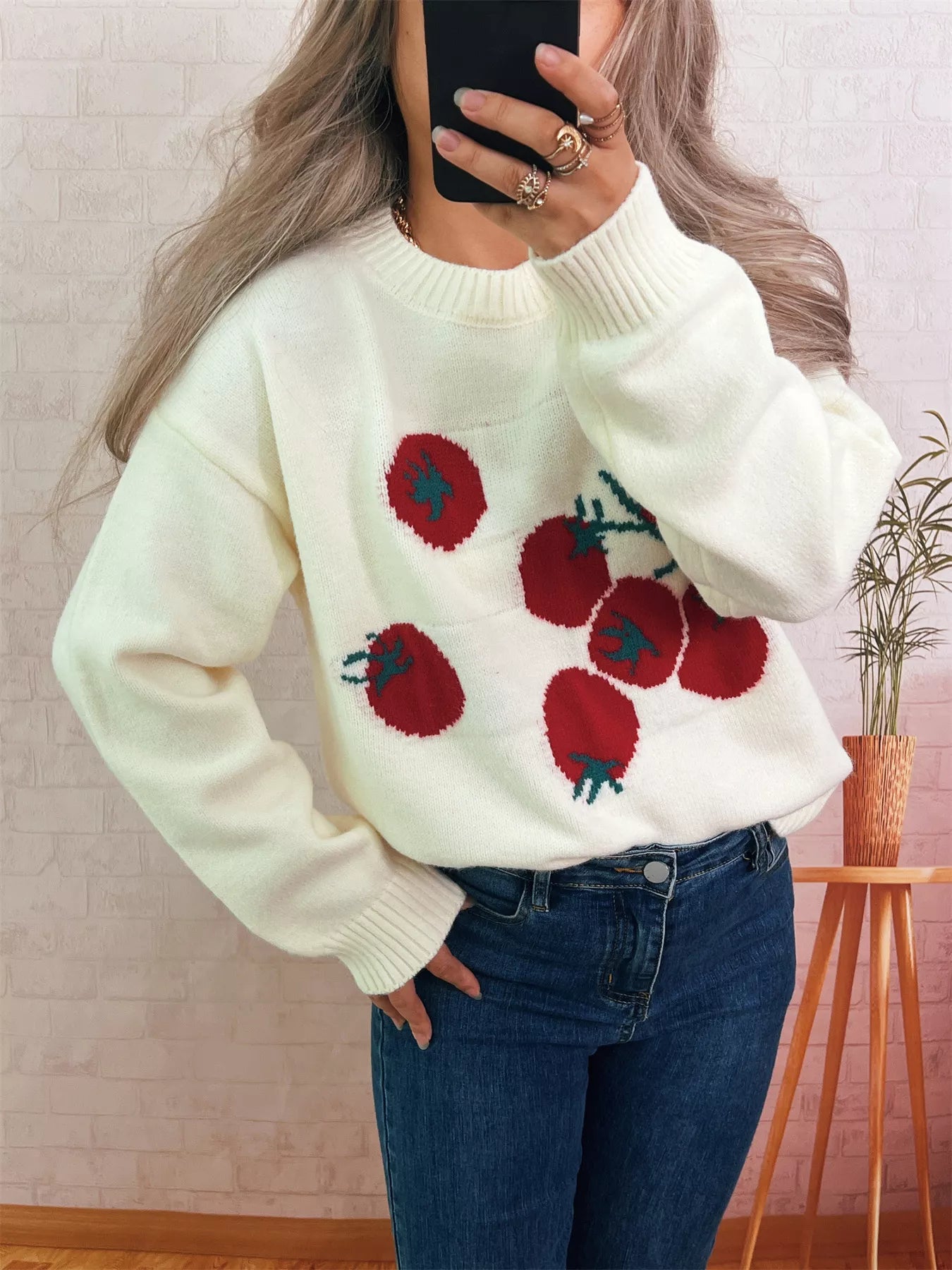 Persimmon Round Neck Long Sleeve Sweater Gray white One Size