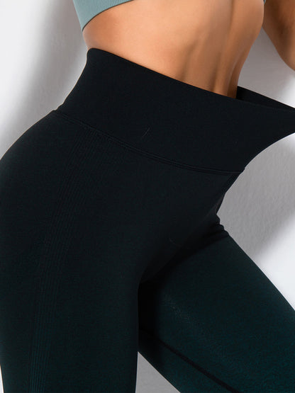 Women's Seamless Gradient High Waist Quick-Dry Hip Lift Fitness Leggings